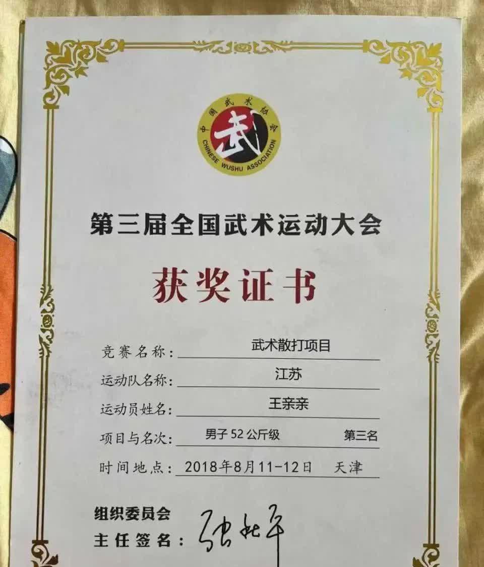 武术选手招招致命，技压群雄夺得金牌！，气势如虹