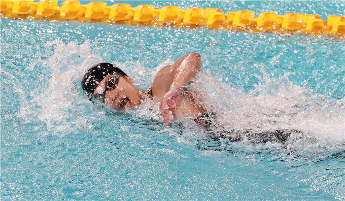 关于荷兰队在游泳项目中赢得突出发挥,全场震撼的信息 关于荷兰队在游泳项目中赢得突出发挥,全场震撼的信息