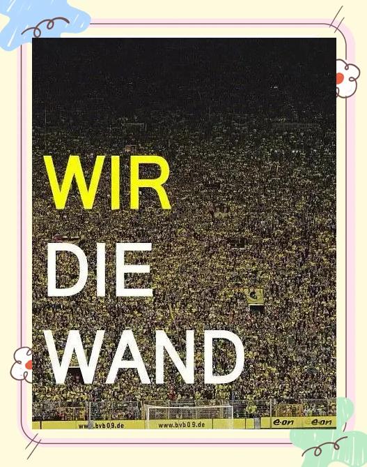 伯尔尼亚场不敌强手遗憾出局，引发热议