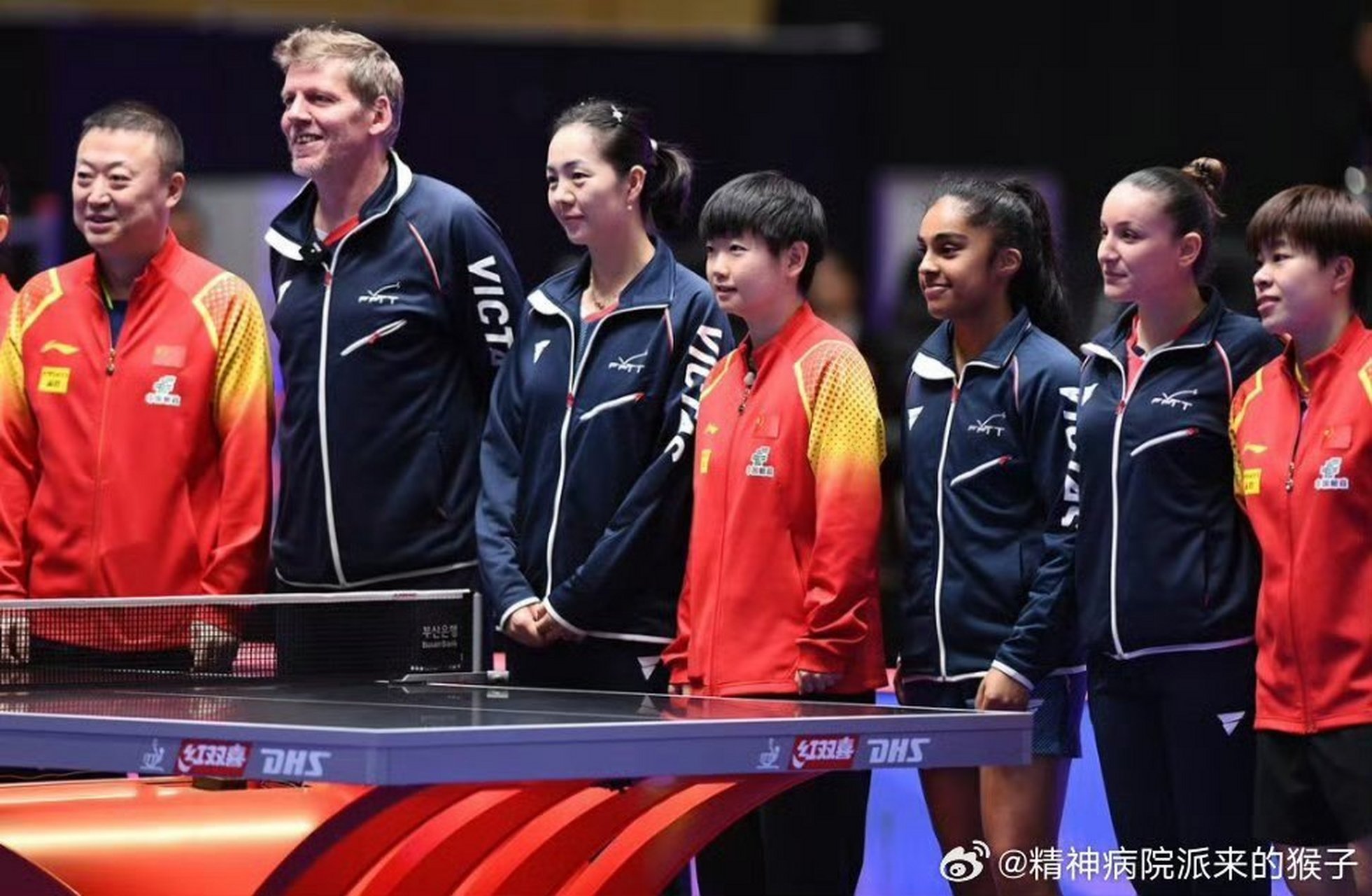 法国队逆转日本队，马琳惊艳四座